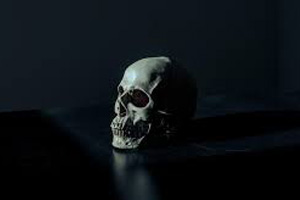 حکومت بر نقاط تاریک مدیران - Rule over the dark spots of managers